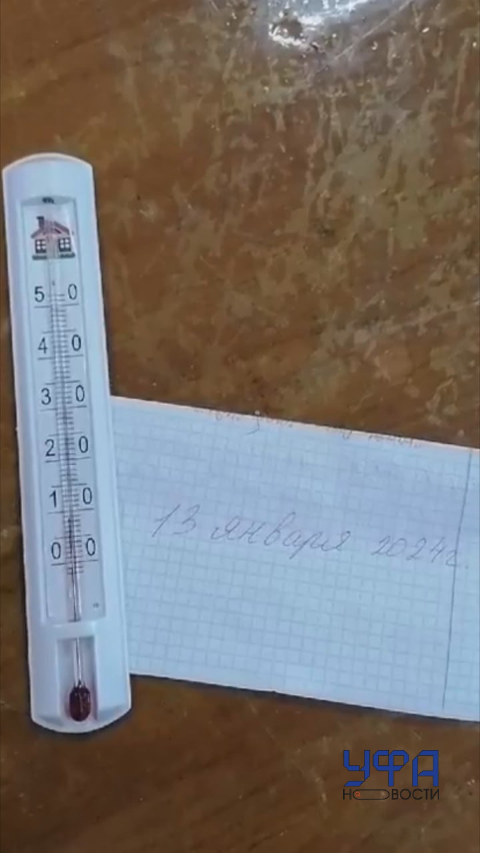 Фото: социальные сети