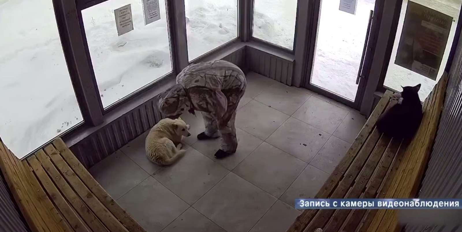 Новости. Нефтекамск Скриншот видео