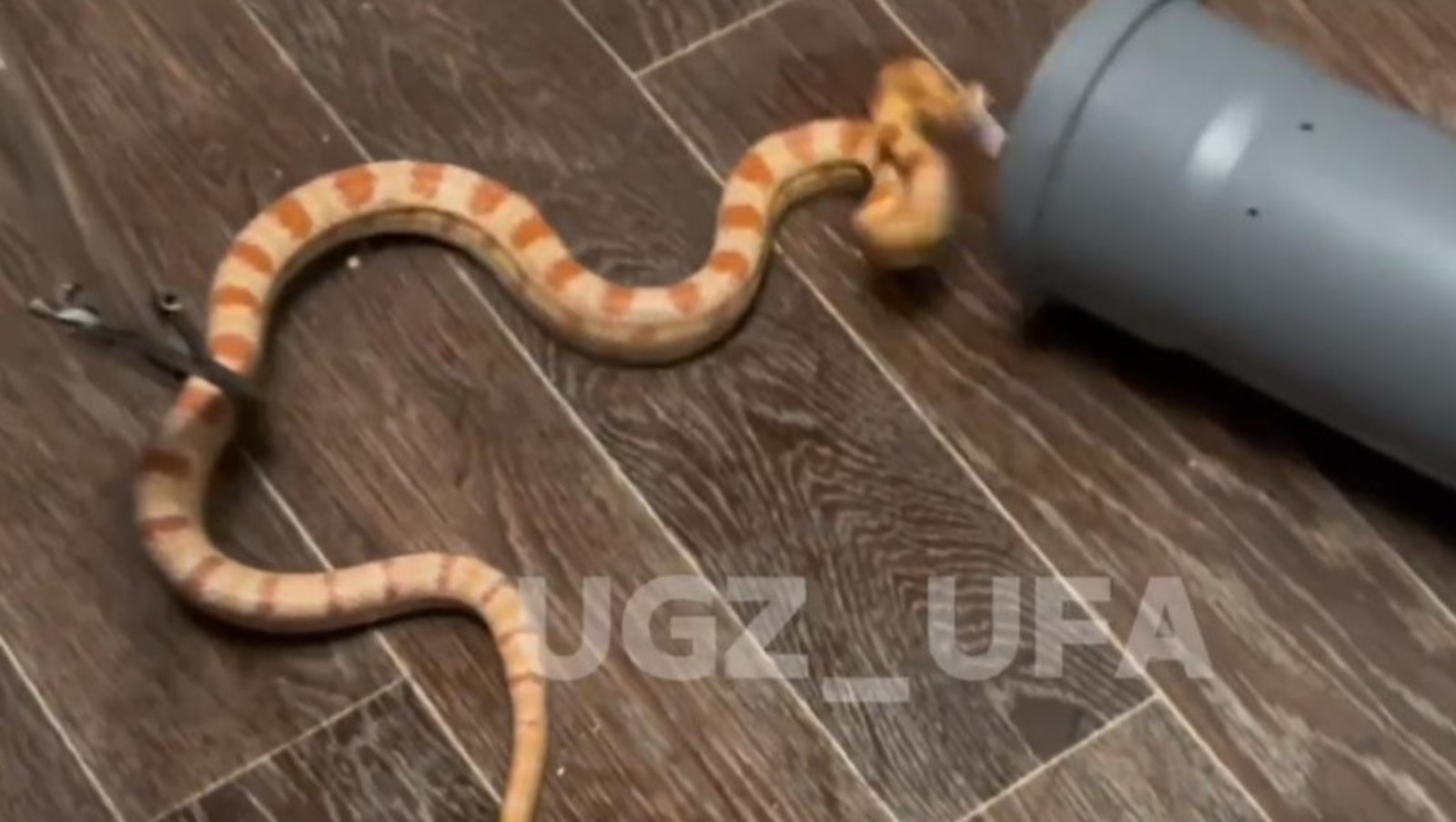 УГЗ Уфы пресс-служба