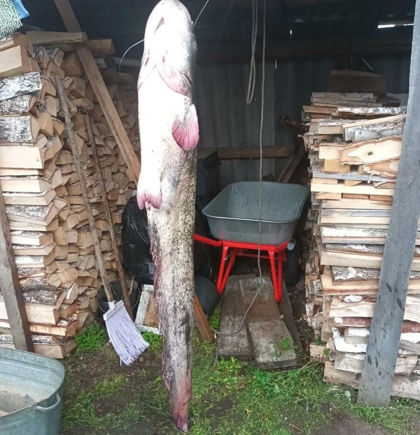 газета Мечетлинская жизнь