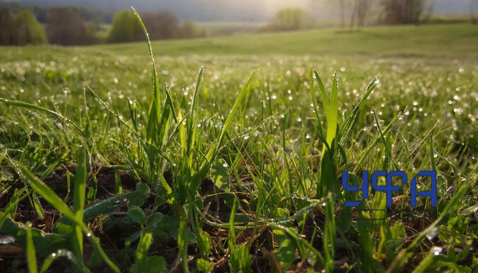 Сгенерировано нейросетью ГигаЧат