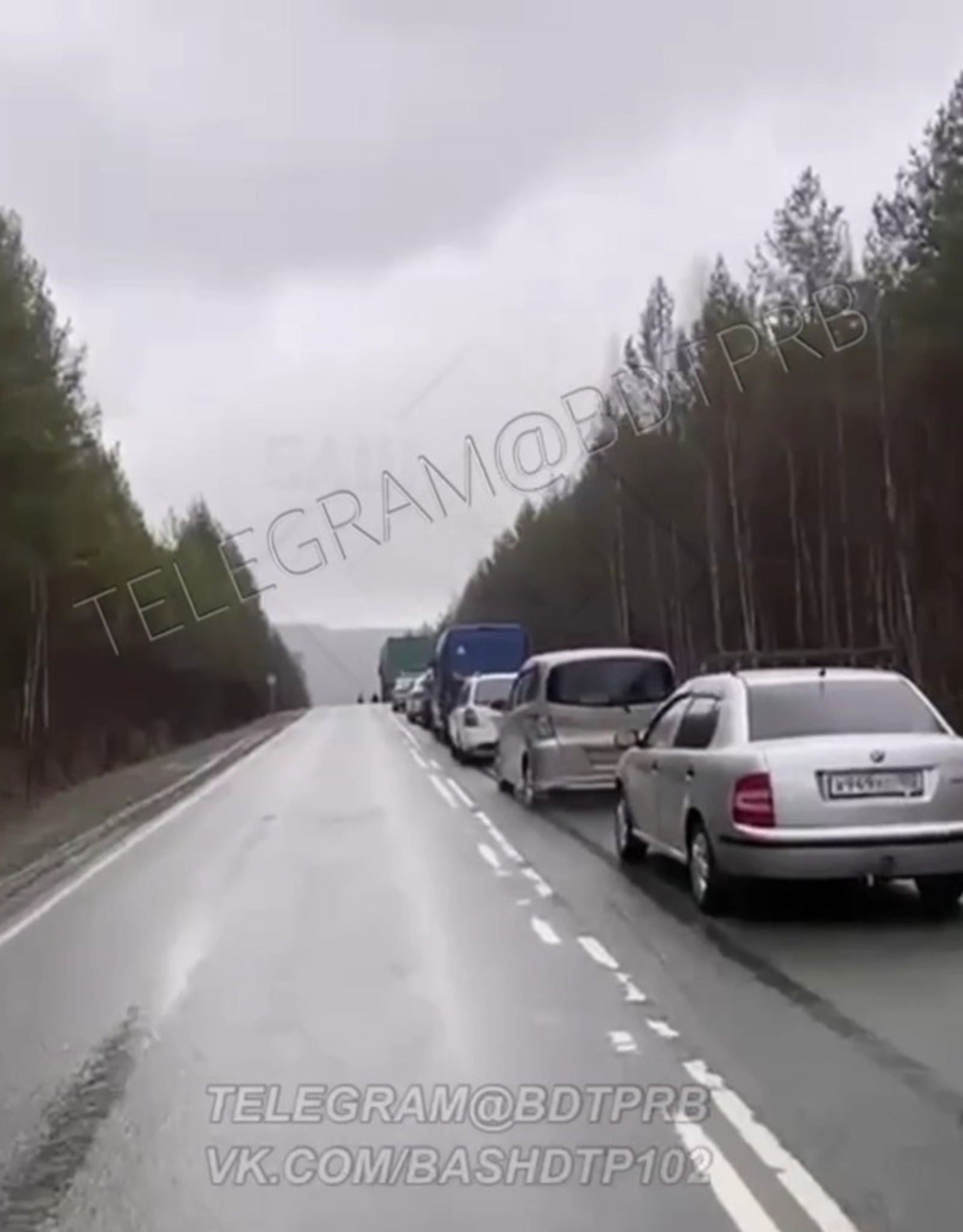 Скриншот видео