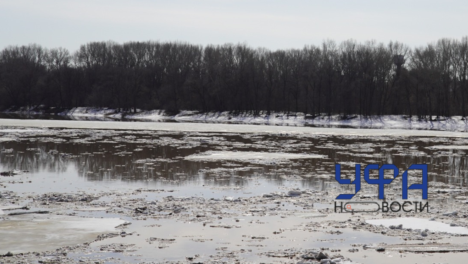 Олег Яровиков Фотобанк Ufanovosti.ru