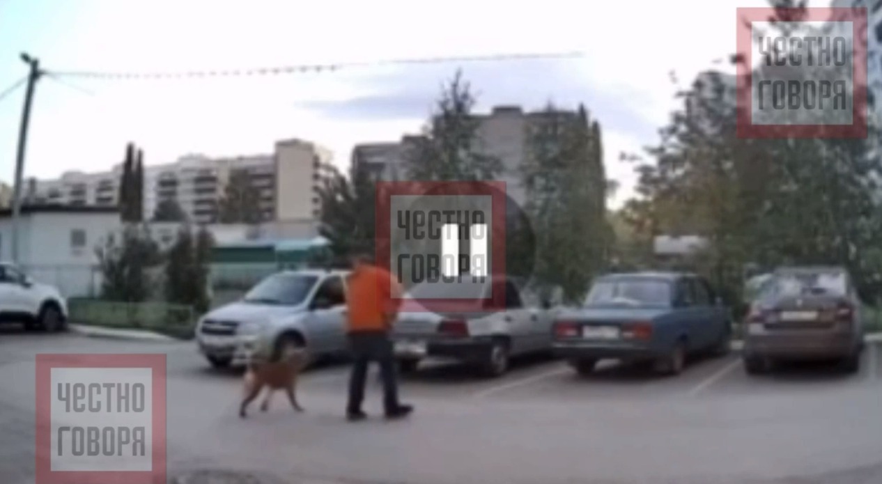 Агрессивный стафф из башкирского Ишимбая неоднократно нападал на людей