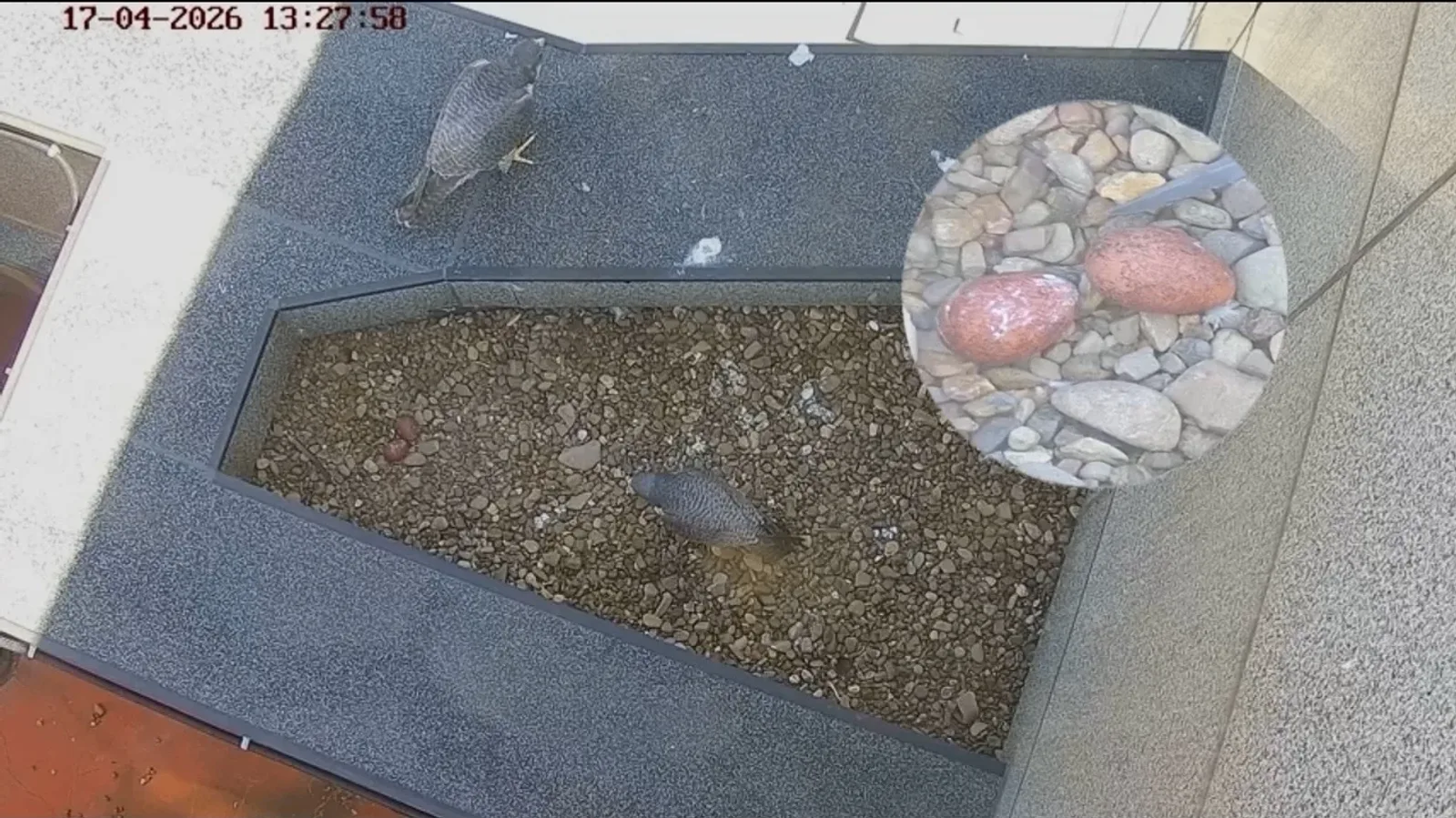 Пресс-служба "Уралсиб"  Соцсети