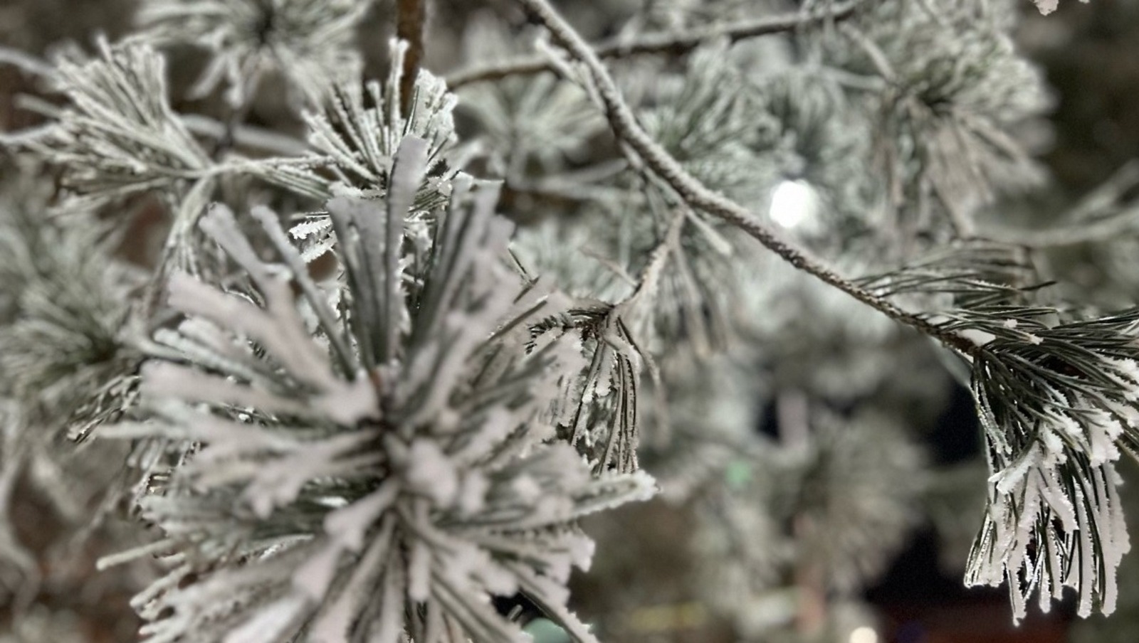 Фотобанк Ufanovosti.ru Архив