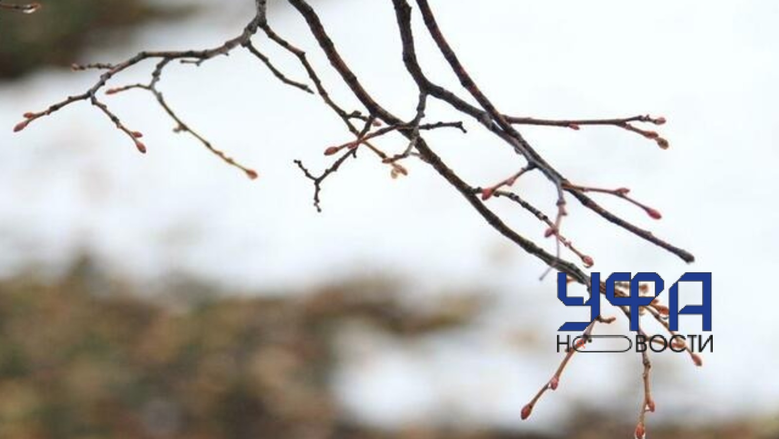 ИА "Башинформ"   ИА «Башинформ»