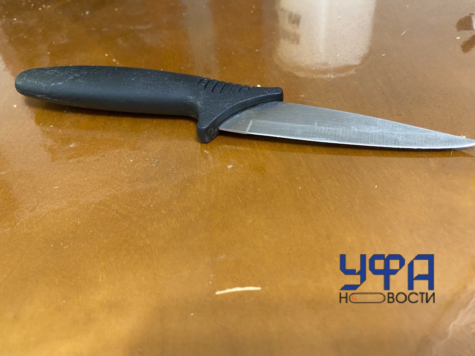 Автор Фотобанк Ufanovosti.ru