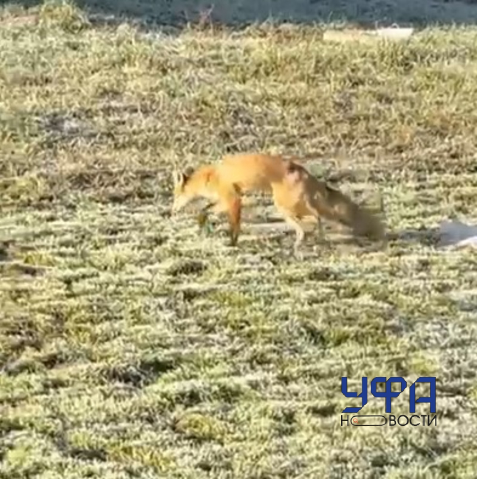 Фото: соцсети