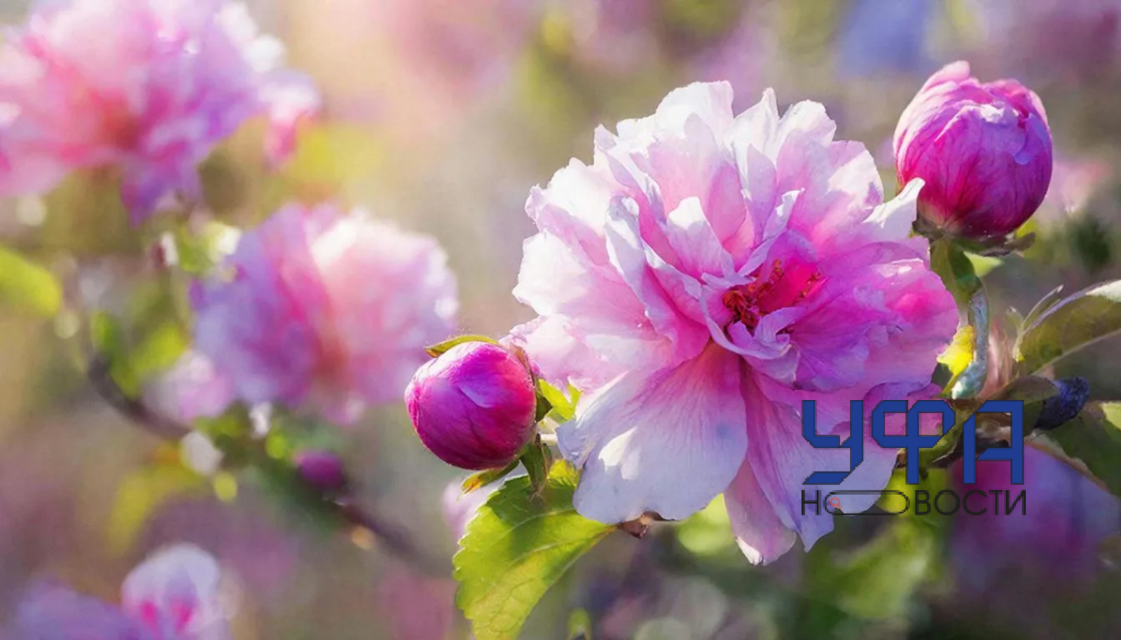 Сгенерировано нейросетью ГигаЧат