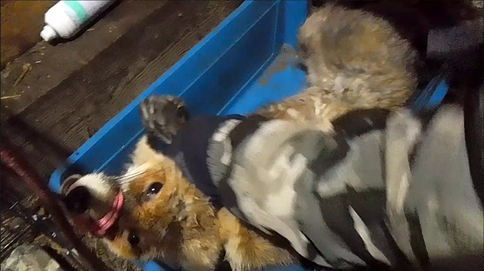 ЦРДЖ «Пин и Пуф» Соцсети