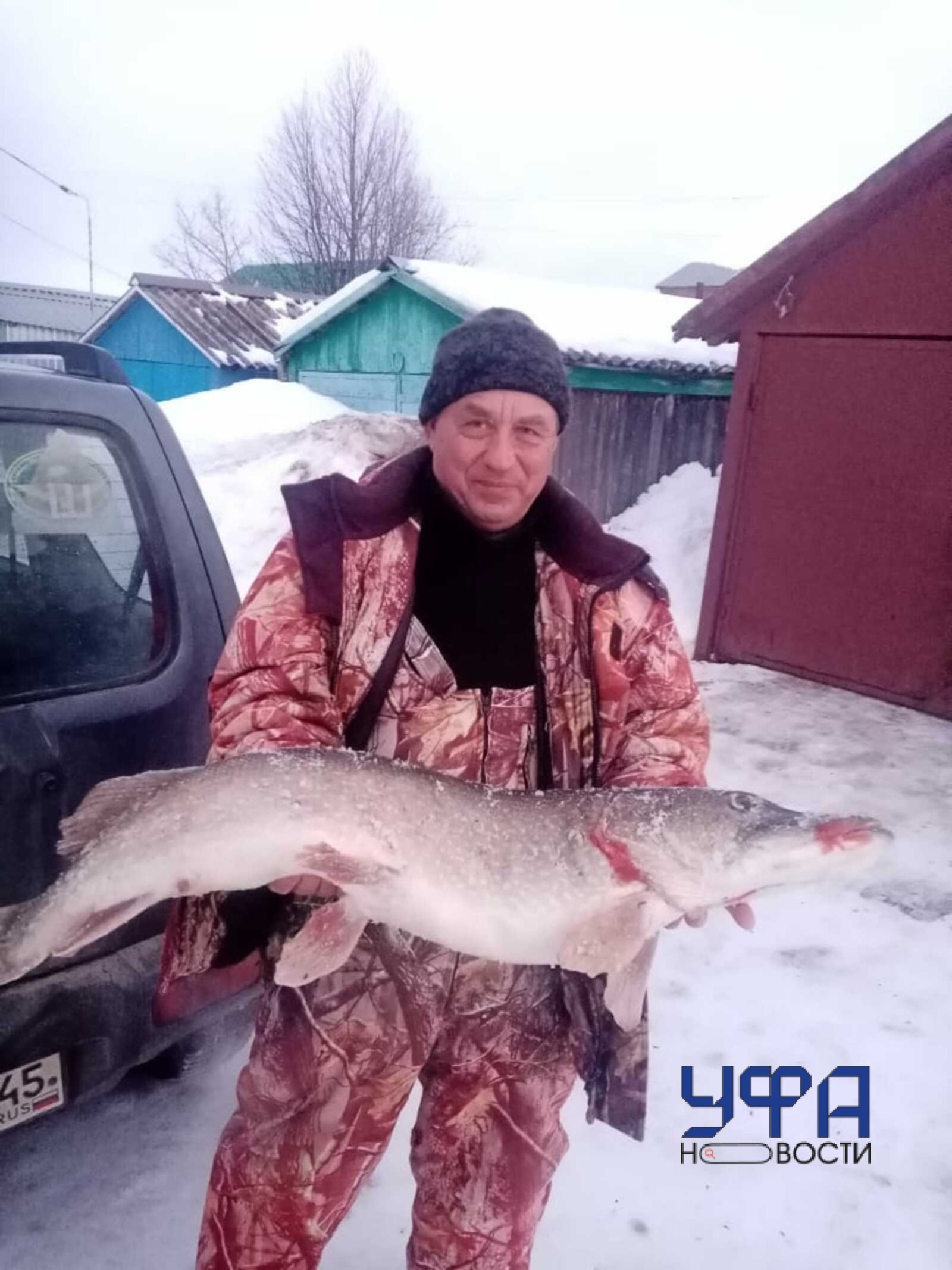 Аскинская новь