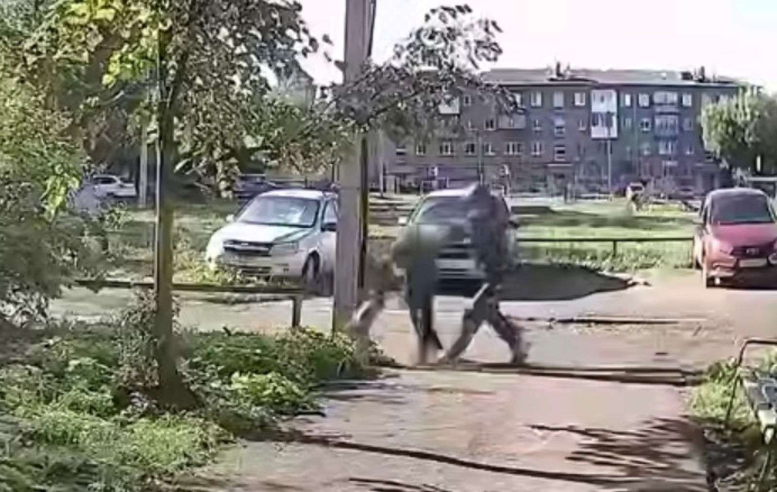 Скриншот видео Соцсети