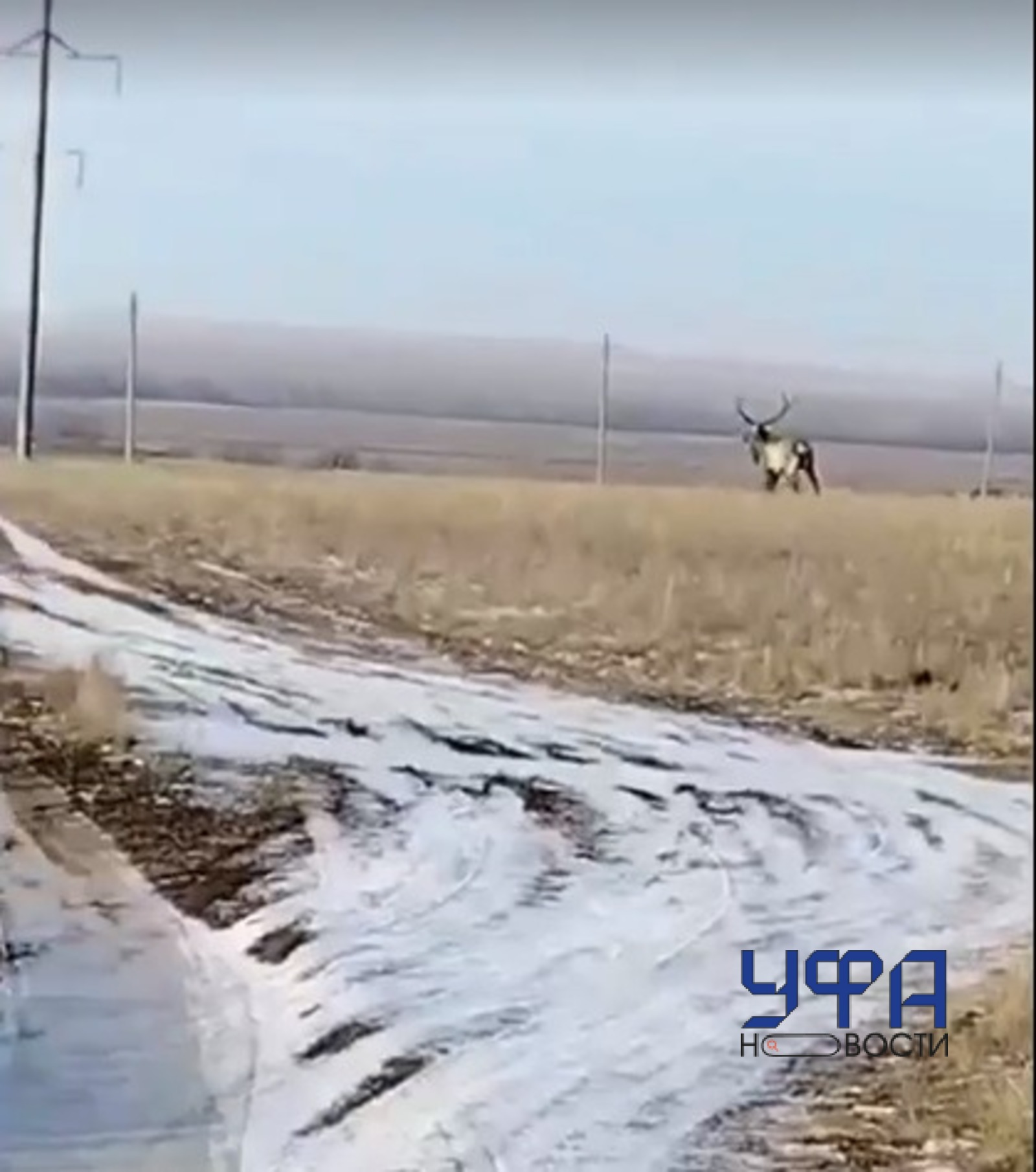 Фото: социальные сети