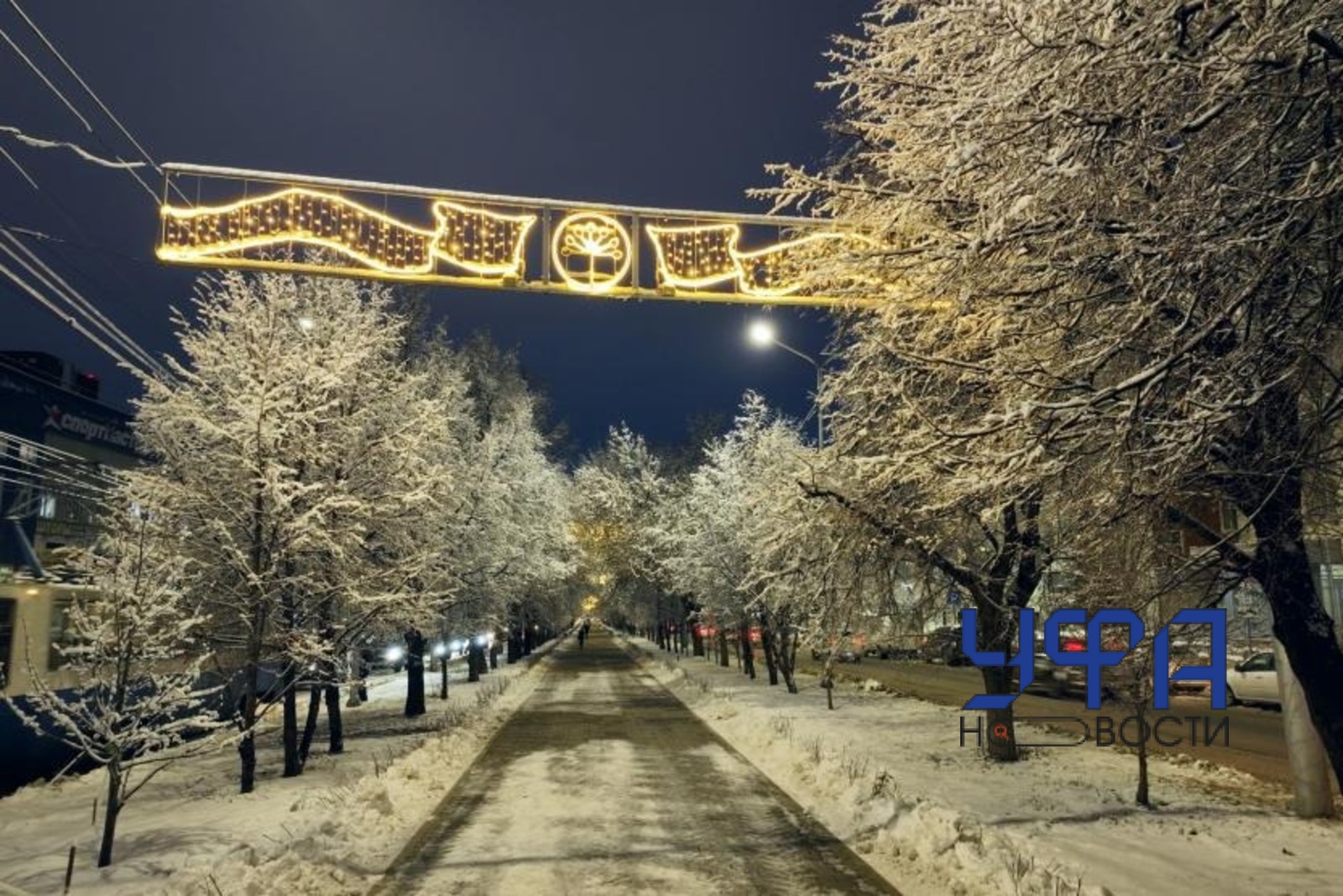 Фото: социальные сети