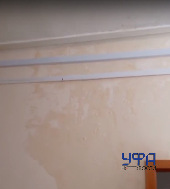 Фото: скриншот видео