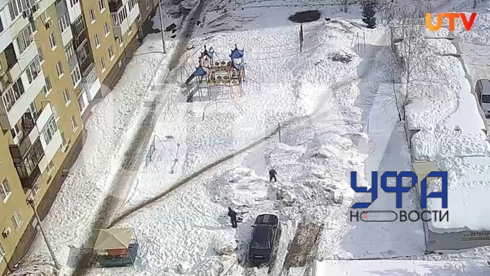 Фото: скриншот видео