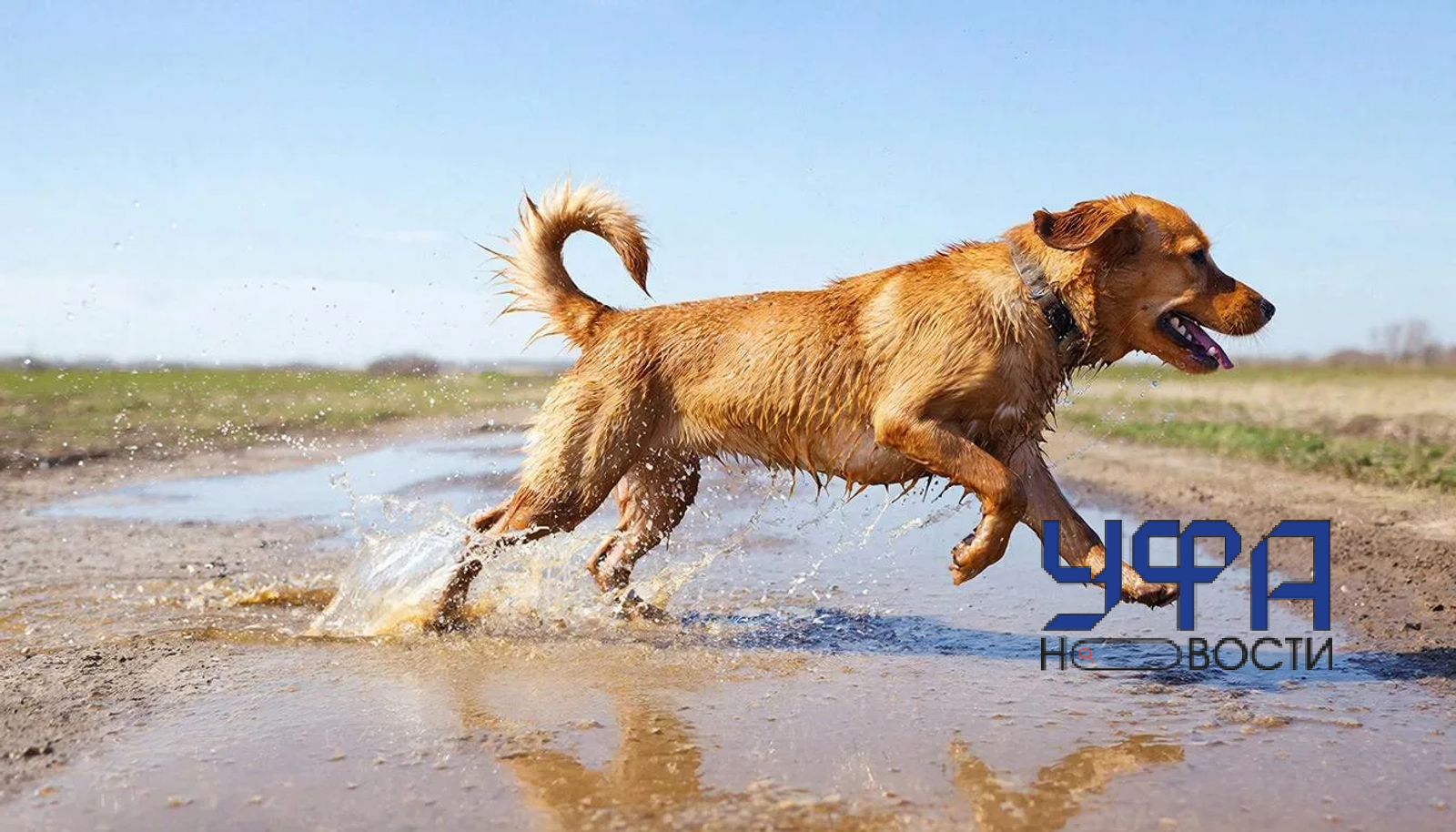 Сгенерировано нейросетью ГигаЧат