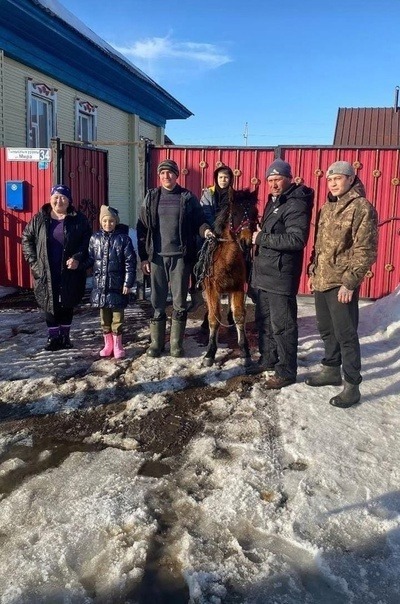  Подростку-всаднику на быке в Башкирии подарили жеребенка