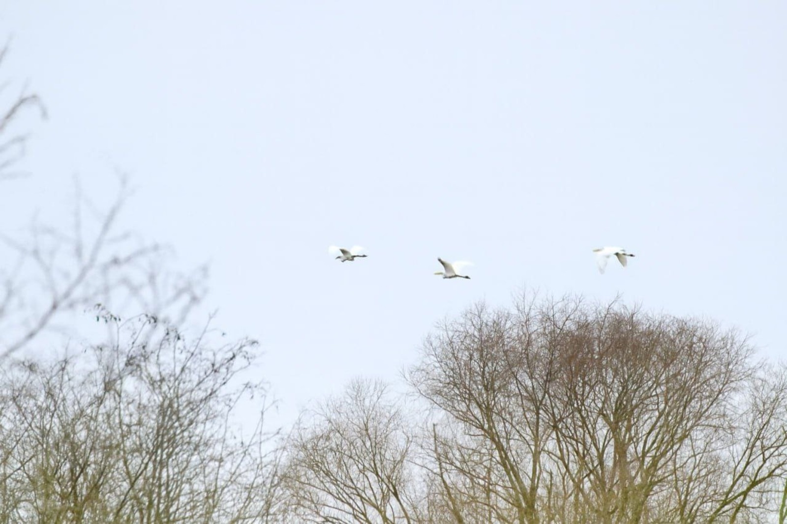 Нацпарк "Башкирия" ТГ-канал