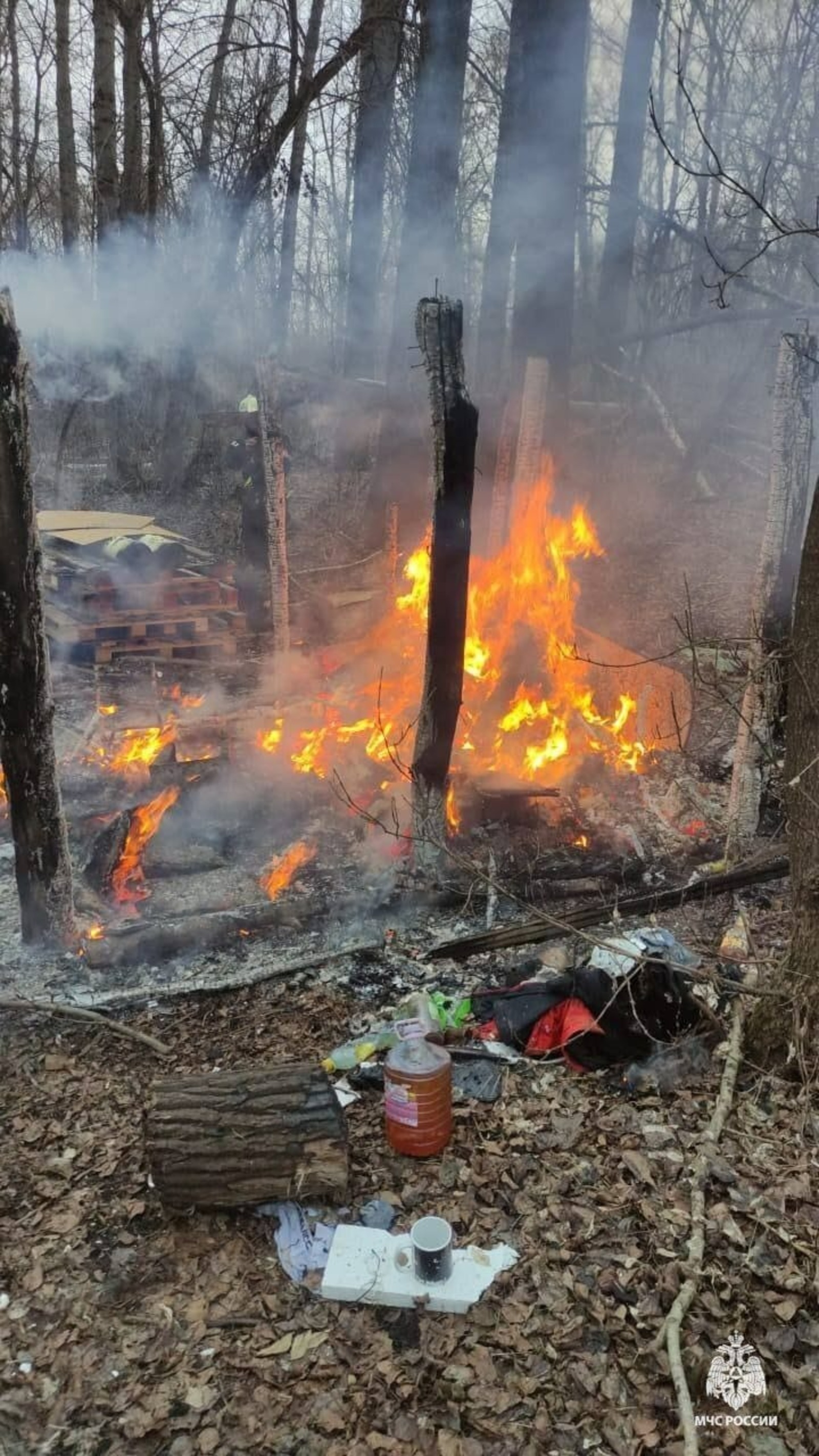 Фото: МЧС по РБ