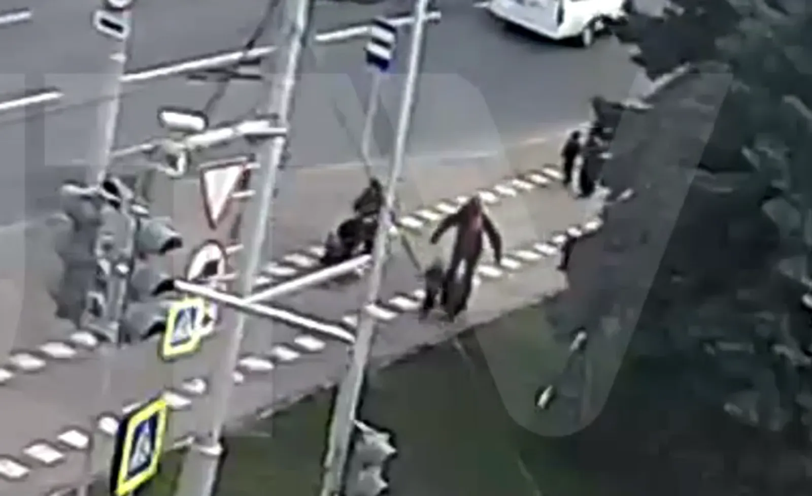 UTV Скриншот видео