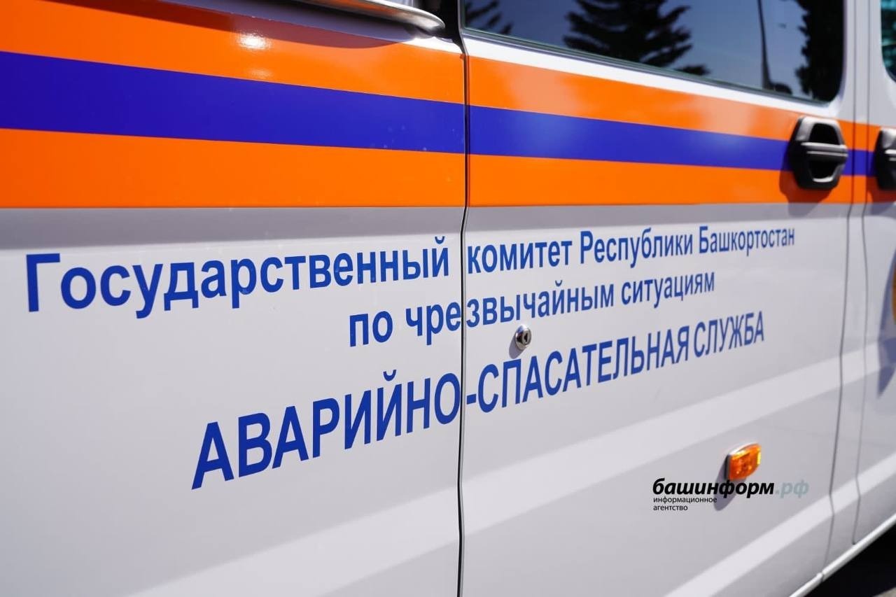 В Башкирии женщина ждала спасателей на дереве