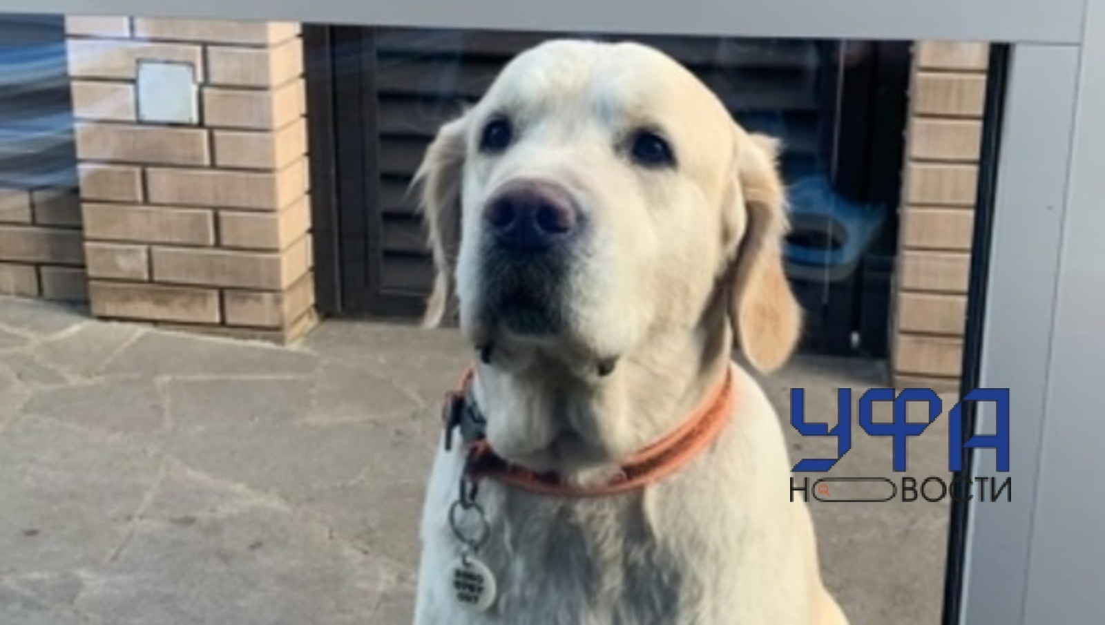 Ufanovosti архив