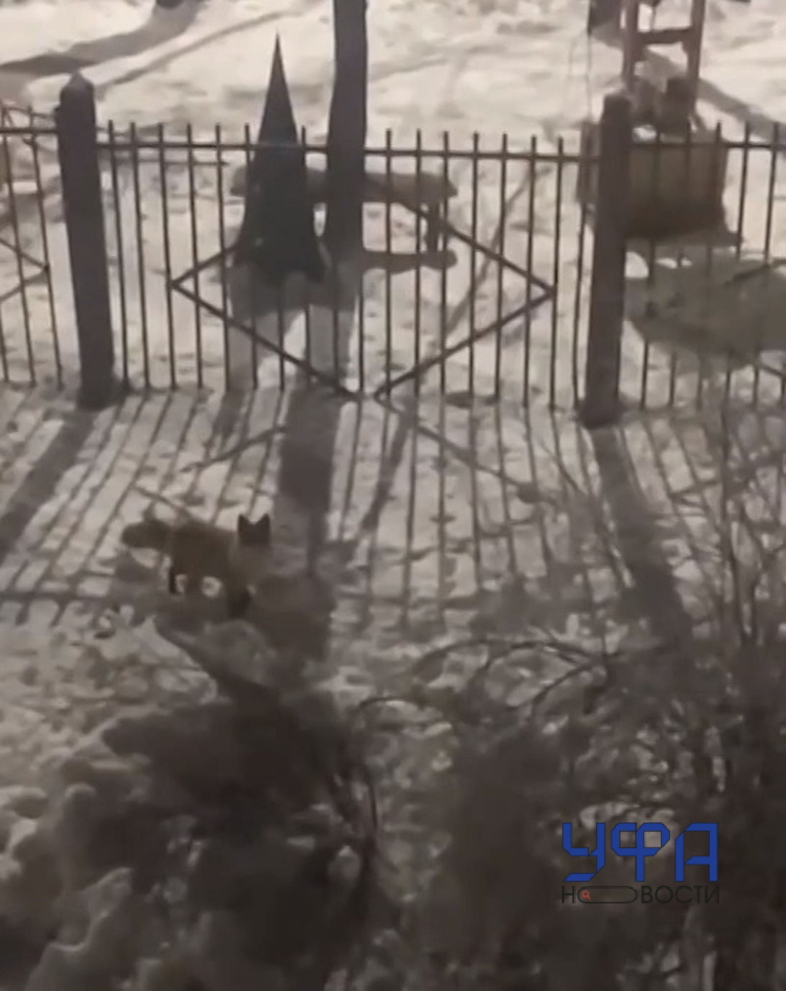 Фото: ГТРК "Башкортостан"