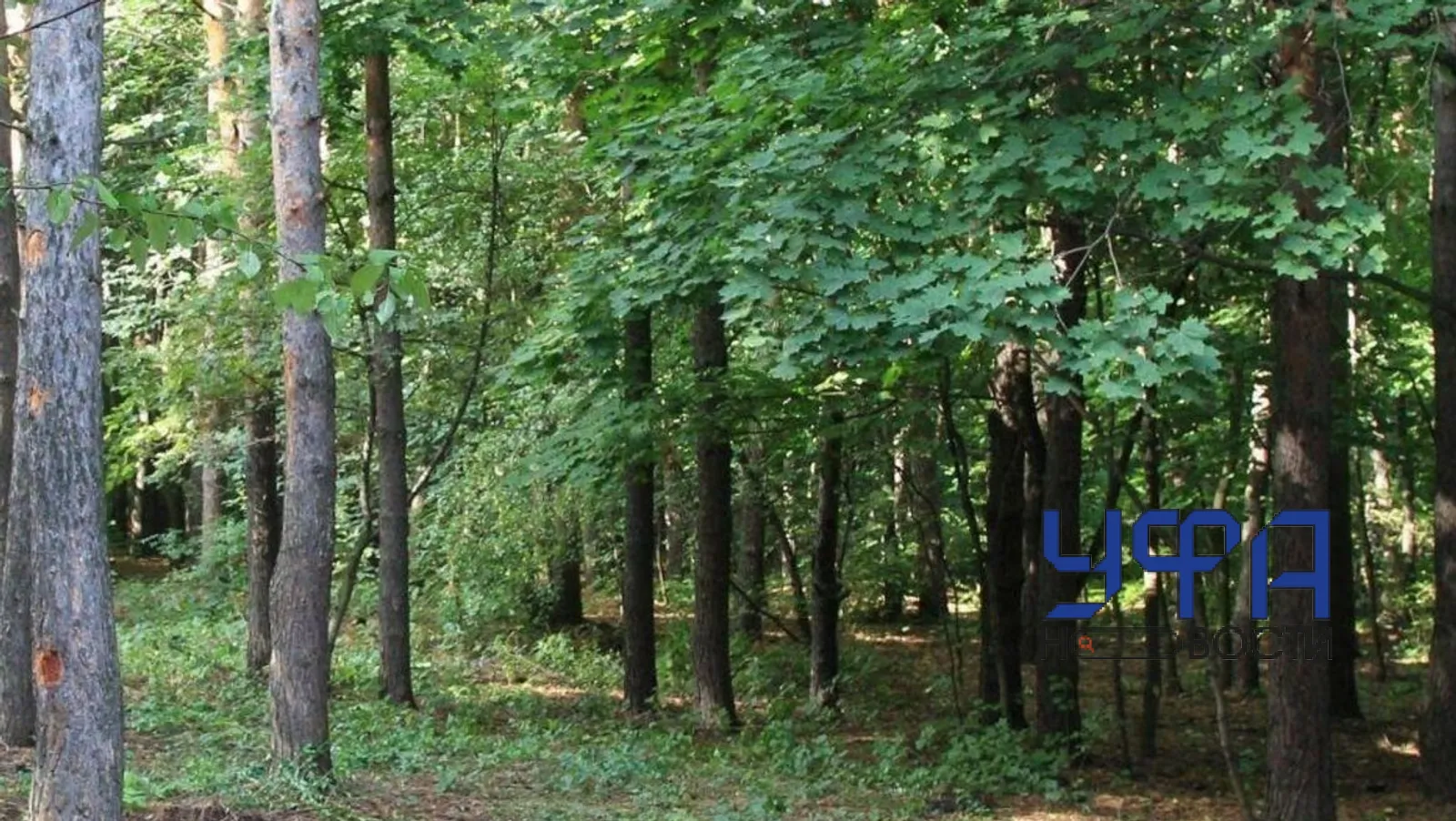 Фотобанк UfaNovosti.ru