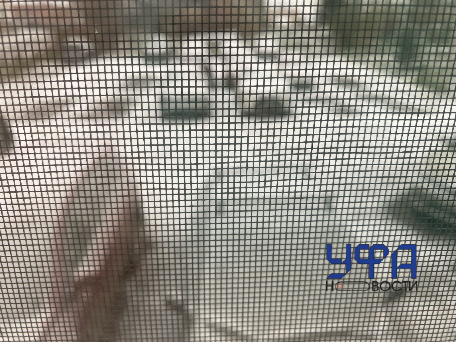 Нина Кареева Фотобанк Ufanovosti.ru