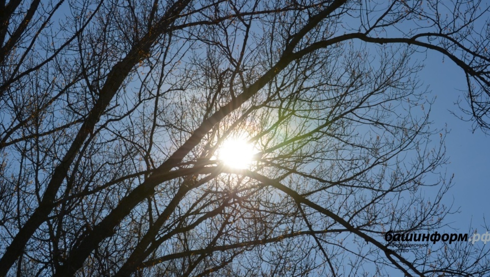 ИА "Башинформ"   ИА «Башинформ»