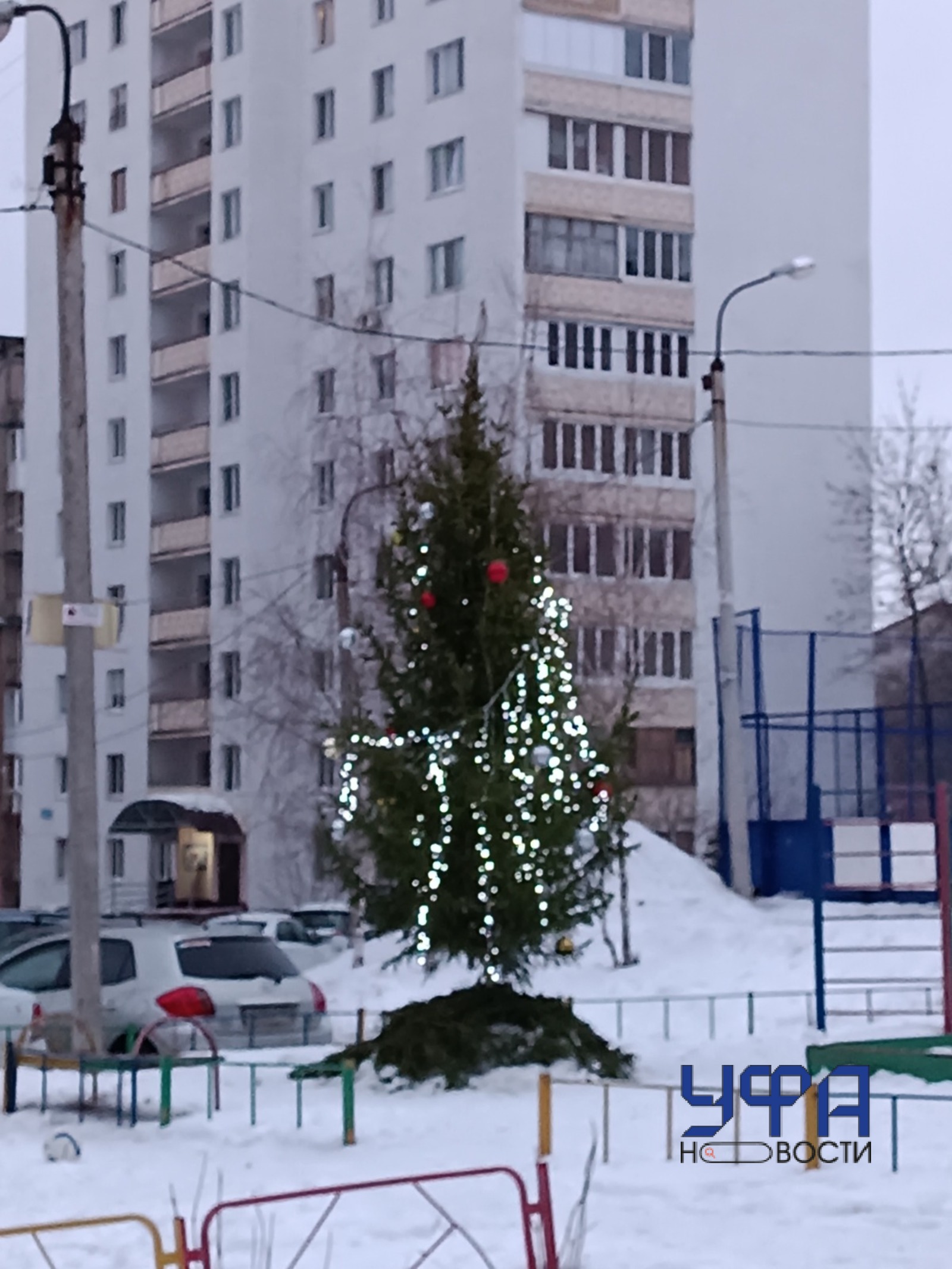 Фото: социальные сети