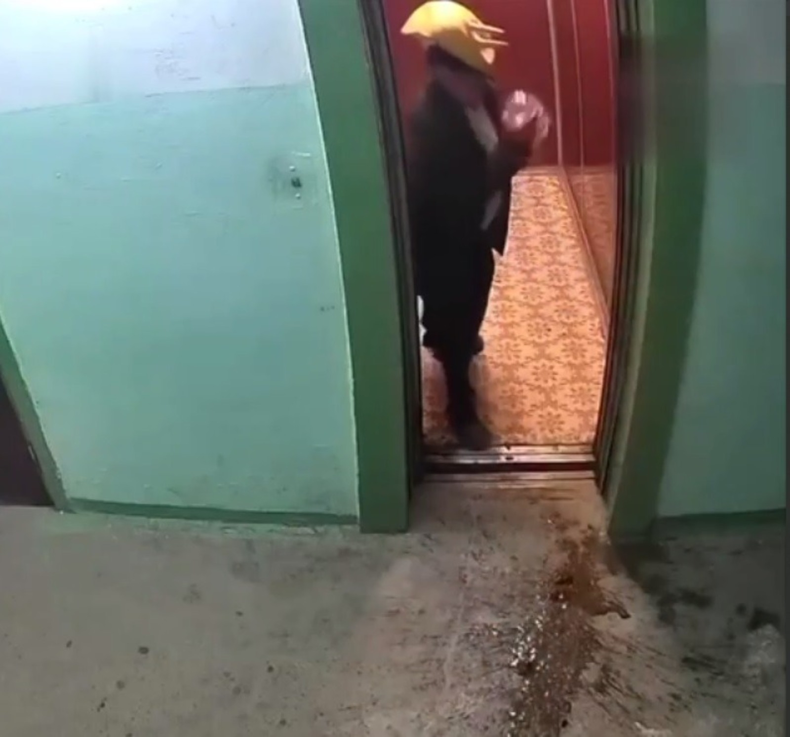скриншот видео