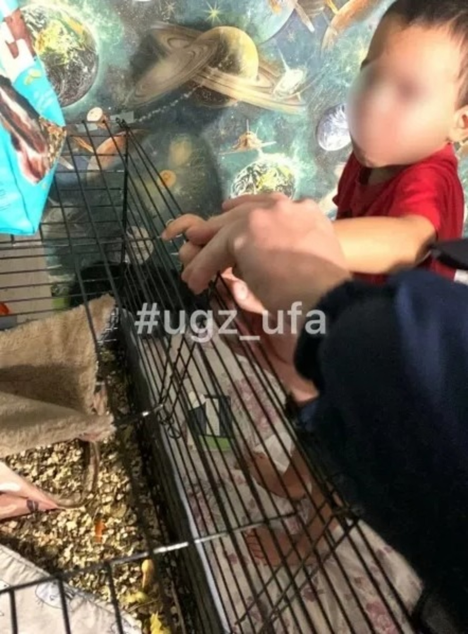 Пресс-служба УГЗ Уфы