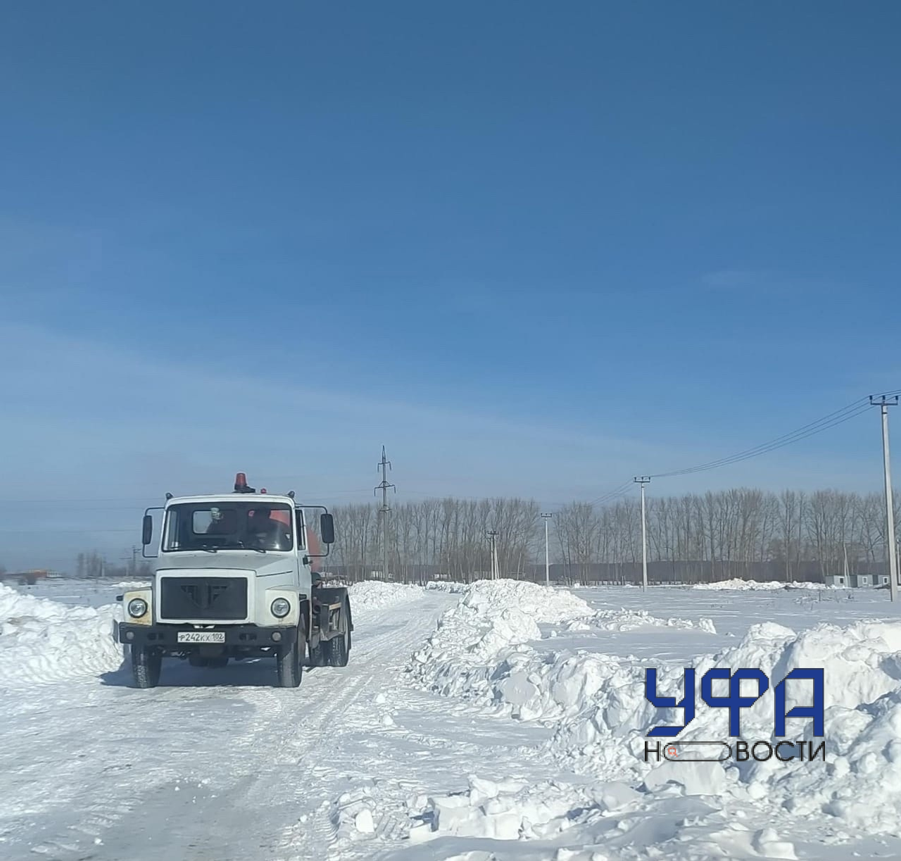 Фото: социальные сети