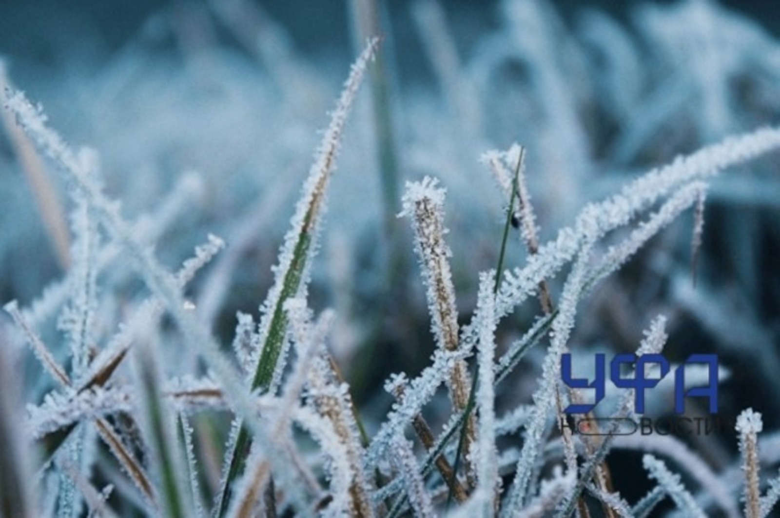 архив Ufanovosti.ru