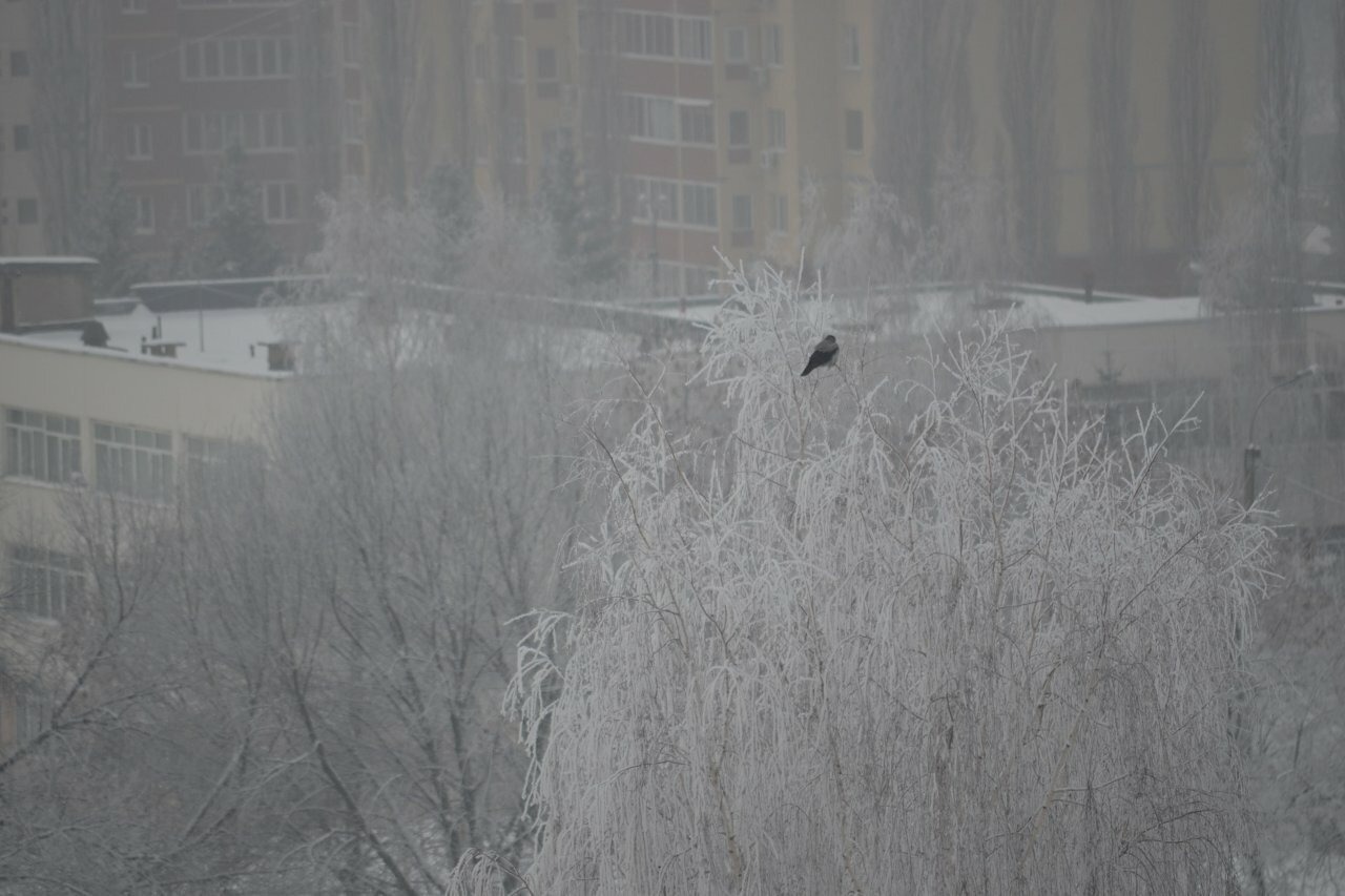 В Башкирию пришли морозы