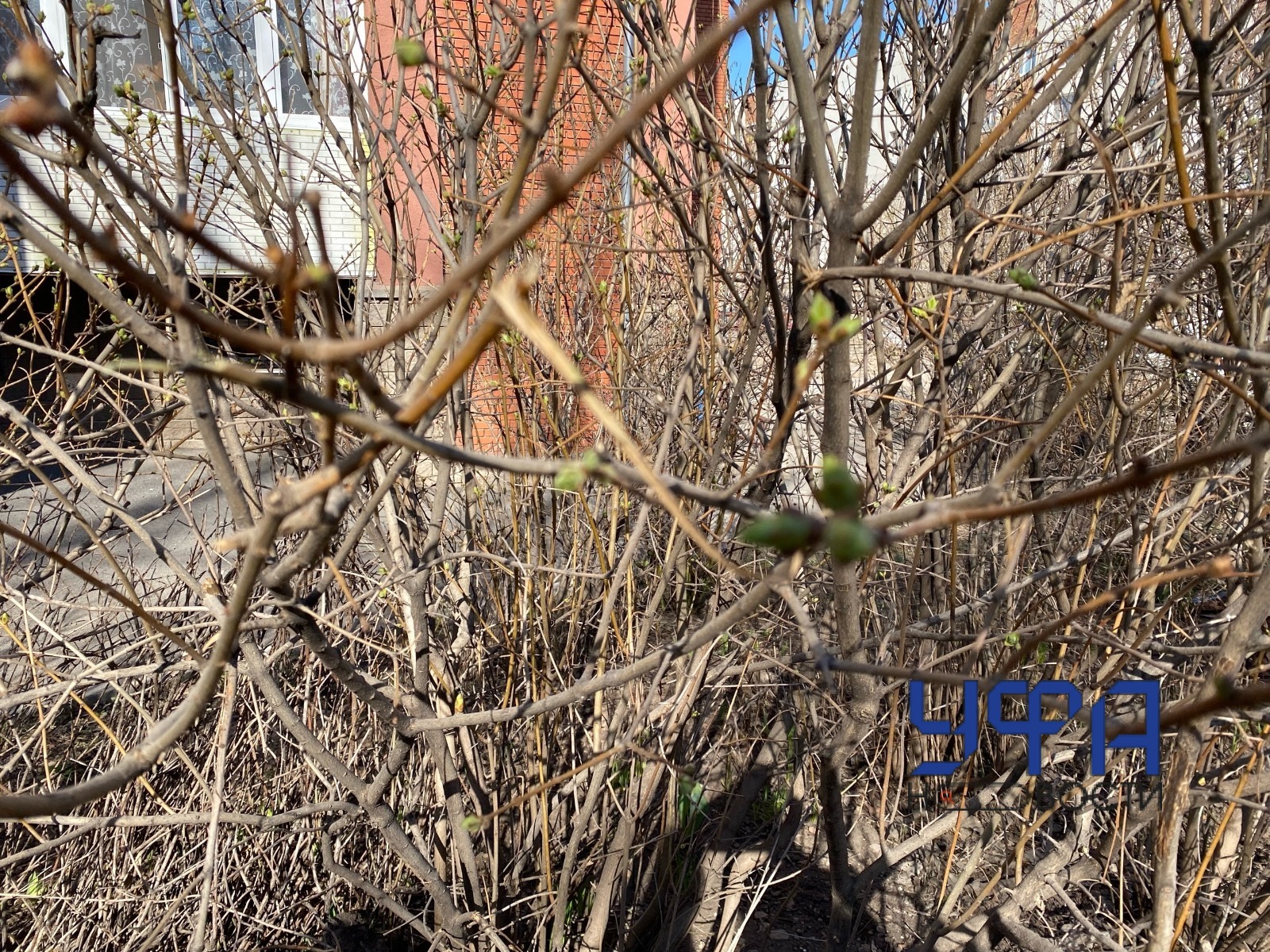 Автор фотобанк Ufanovosti.ru