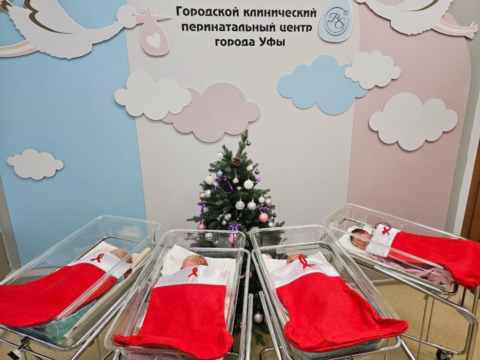 Рустем Хамитов  vk.com