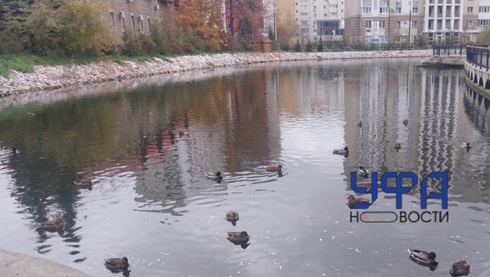 Фотобанк UfaNovosti.ru