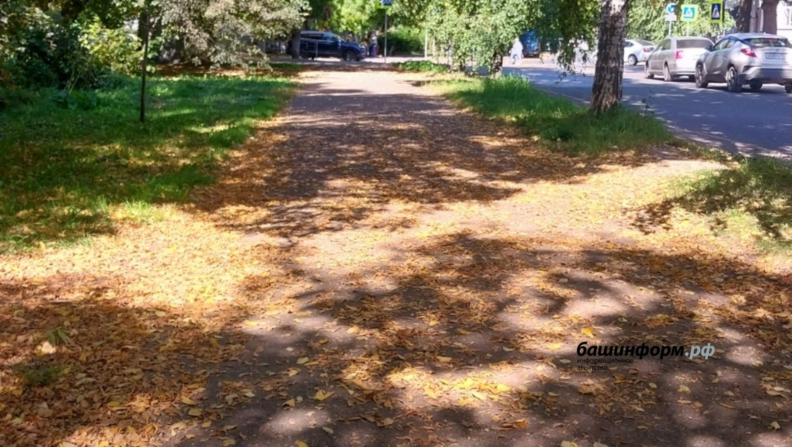 Фото: ИА "Башинформ"