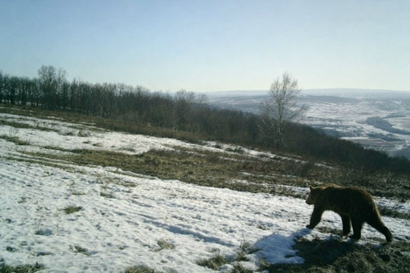 Нацпарк "Башкирия" vk.com