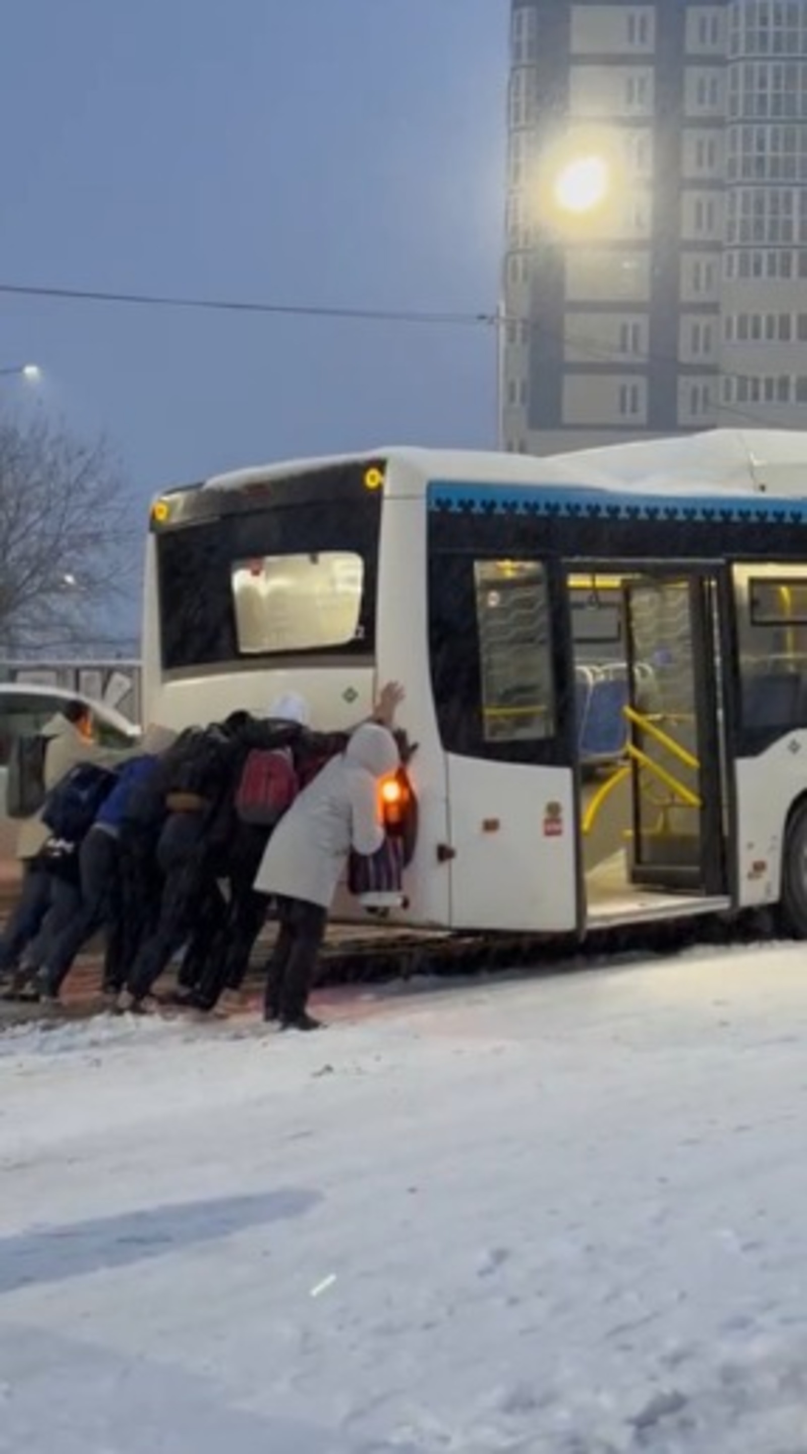скриншот видео