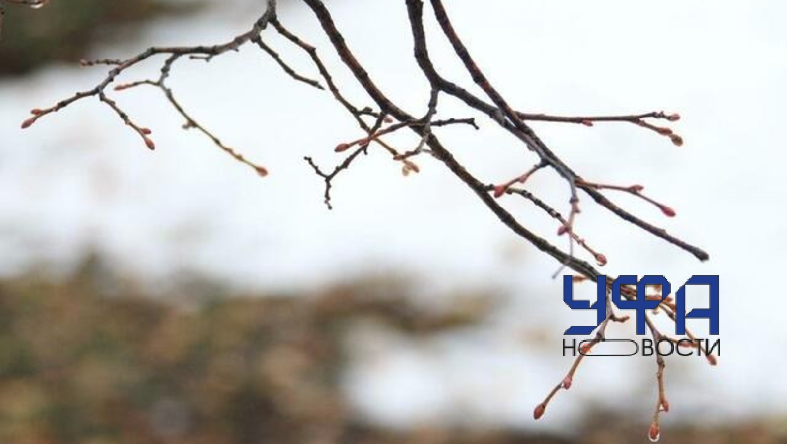 архив архив