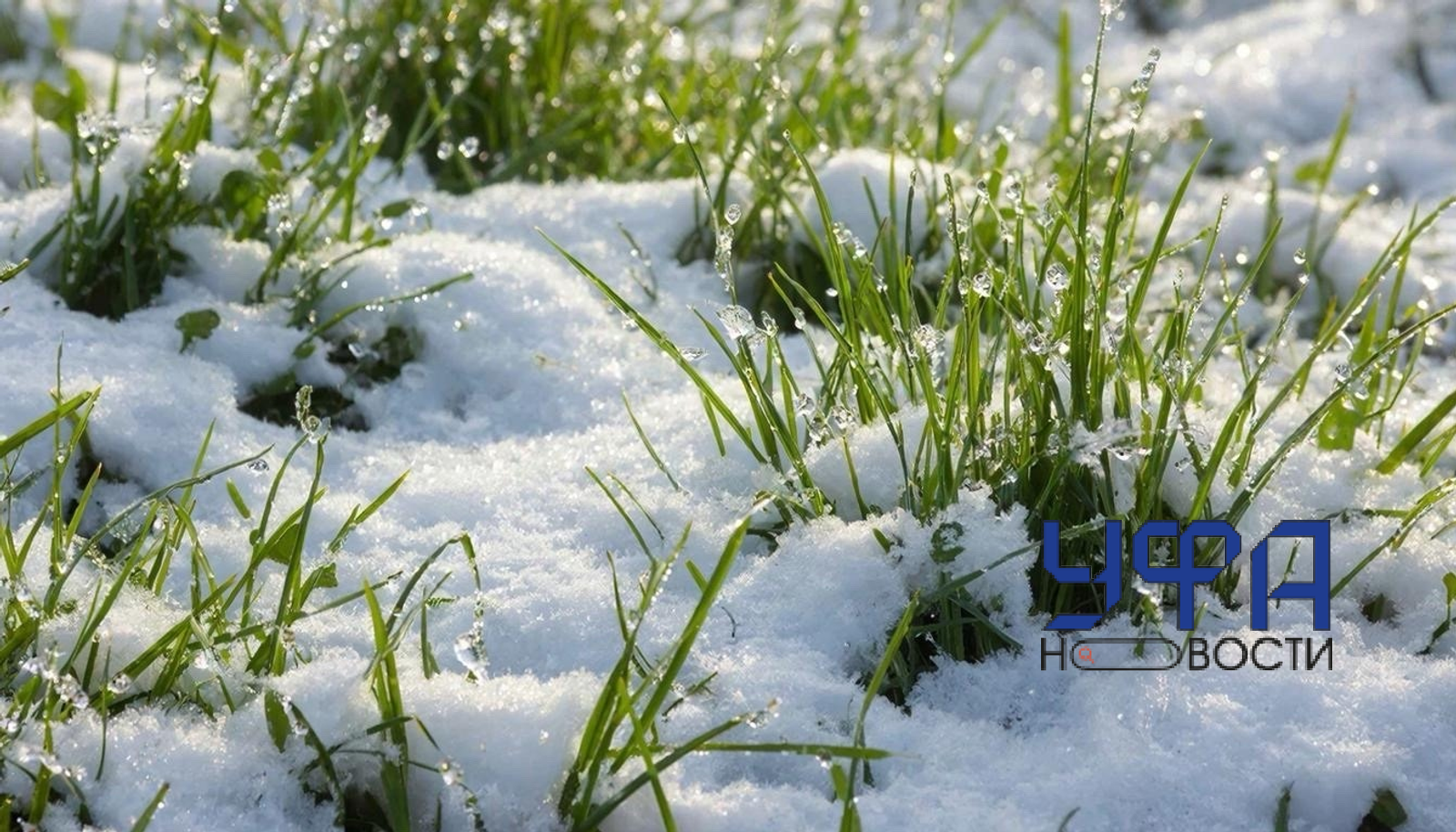 Сгенерировано нейросетью ГигаЧат