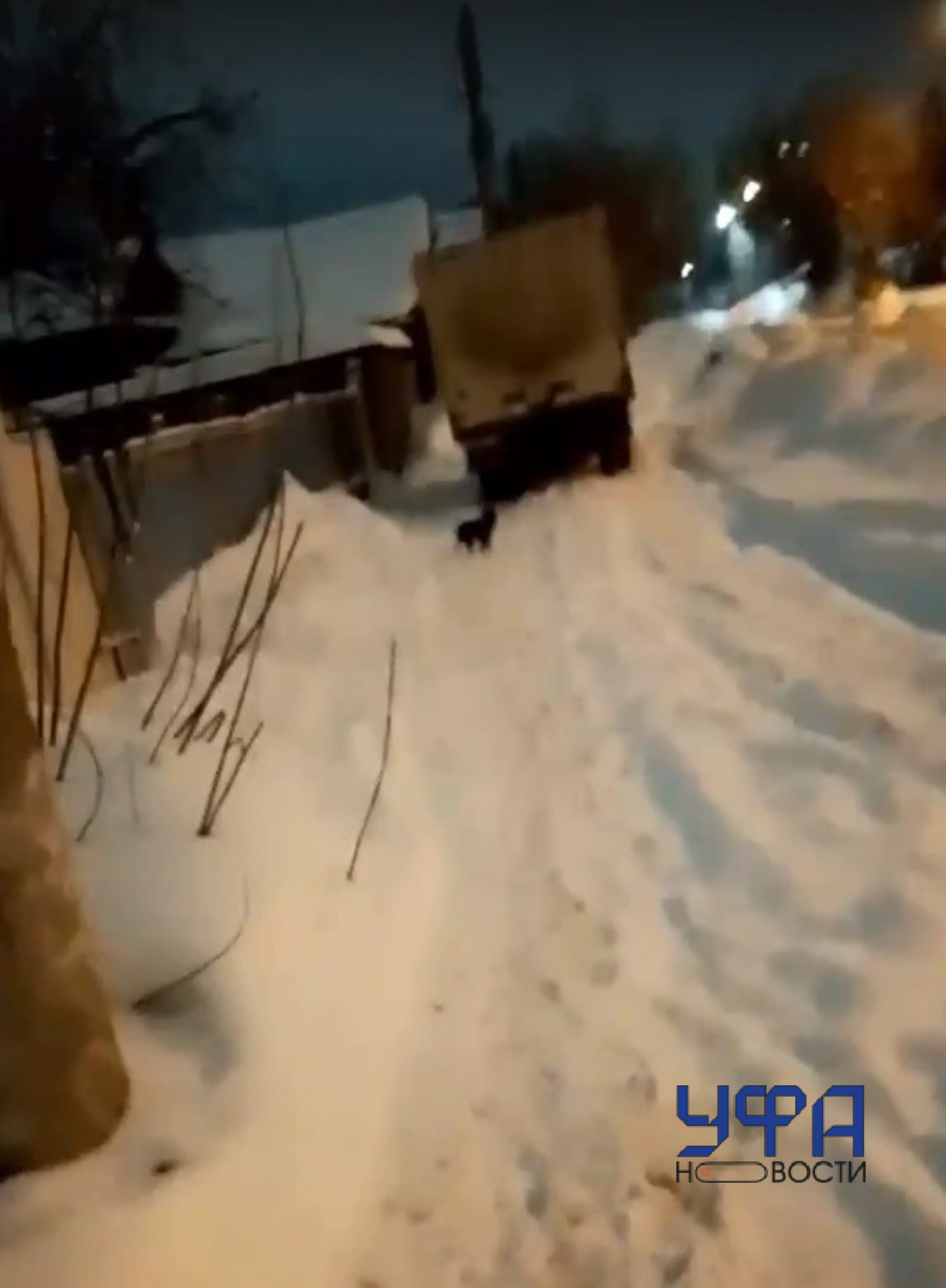 Фото: скриншот видео