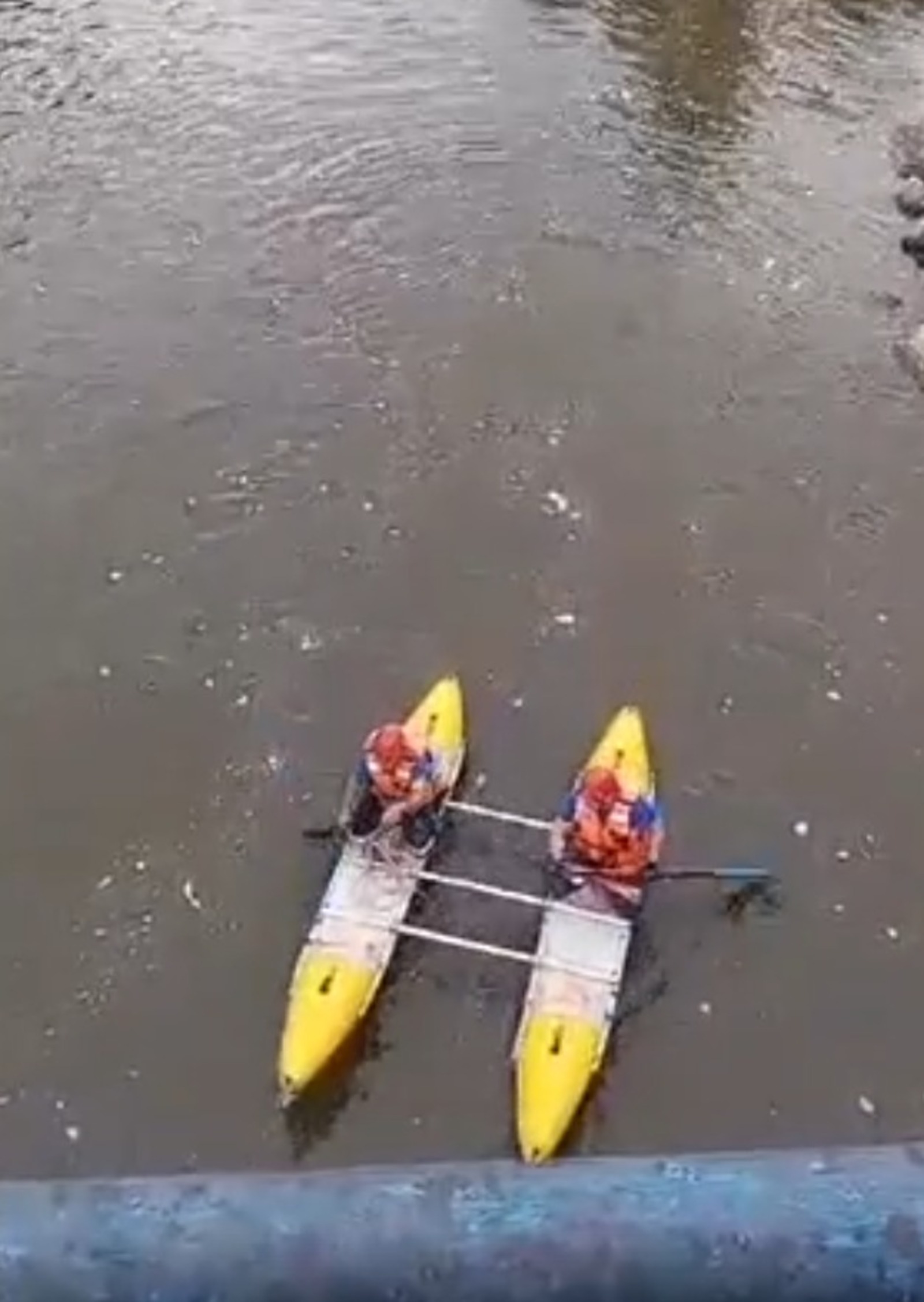 скриншот видео