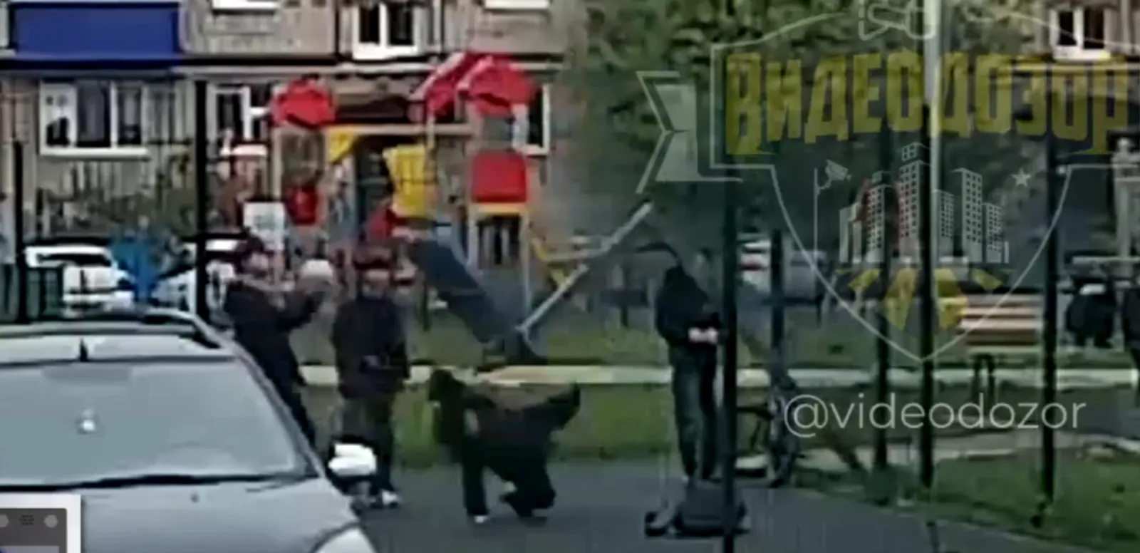 Соцсети  Скриншот видео