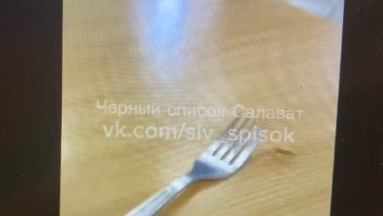 В Башкирии студенты колледжа опубликовали видео с тараканами в столовой 